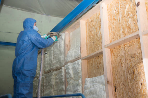 Best Insulation Removal  in West Hattiesburg, MS